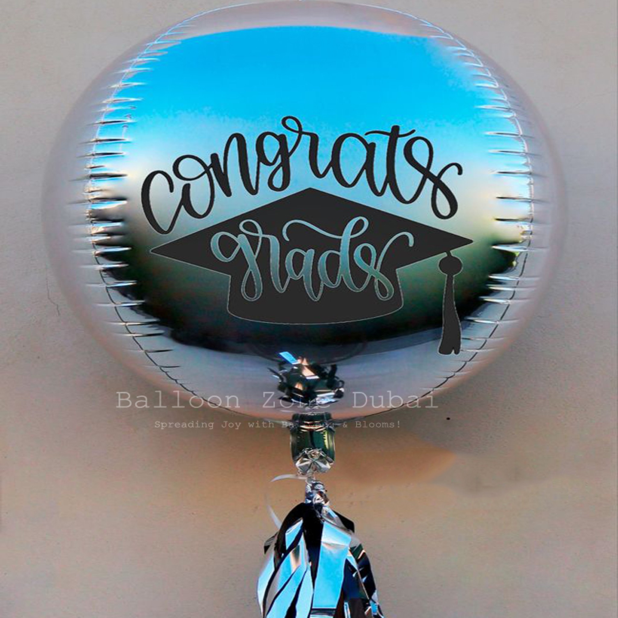 Silver Shine Orbz Balloon Package