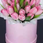 Tulip Flowers